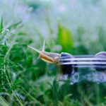 被强制侵犯在线观看 4vw8v