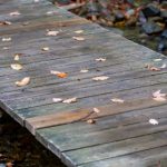 小草观看免费播放2019 57tw25v3